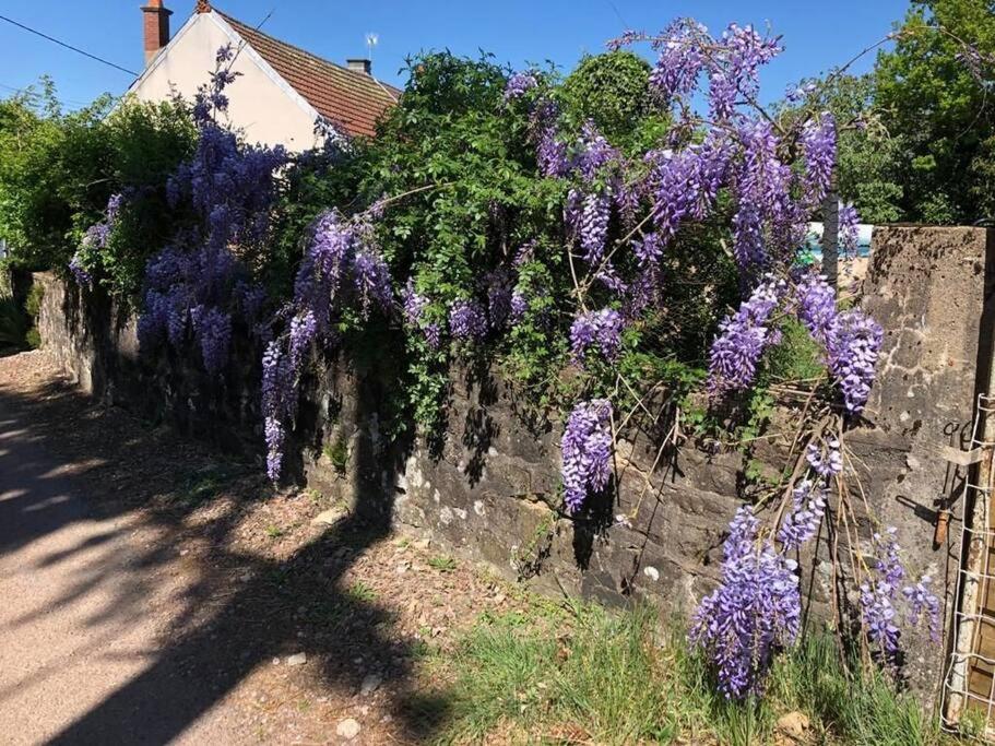 La Petite Maison D'Orphee Marmagne  Bagian luar foto